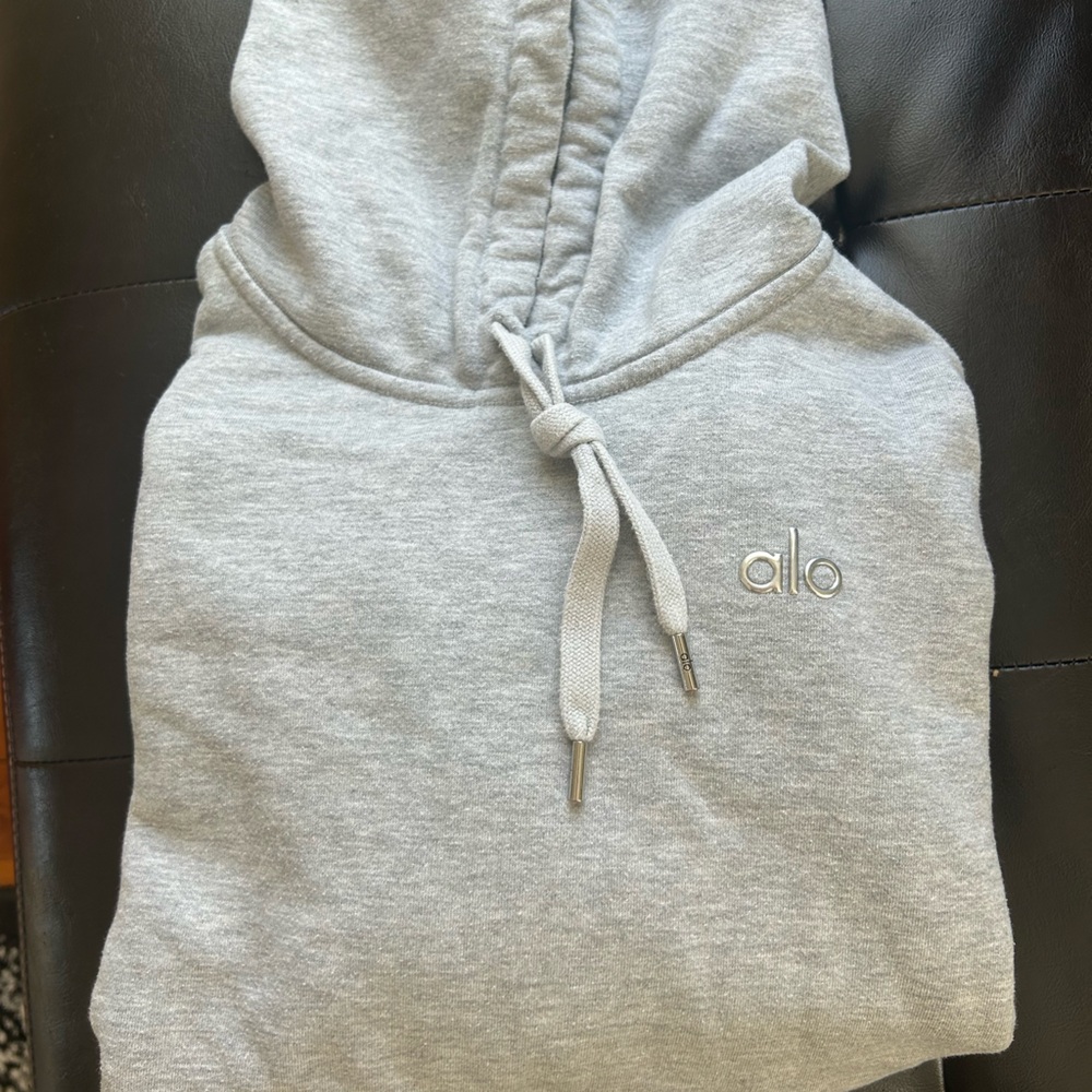 Alo Accolade Hoodie - Size M